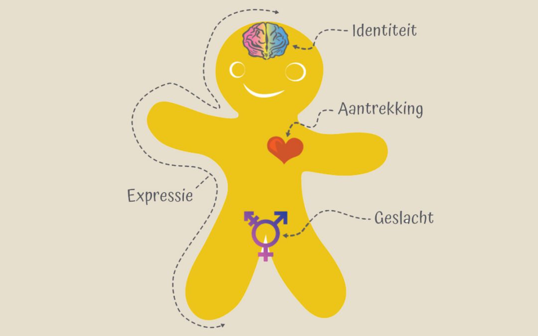 Een poppetje waarbij de identiteit, aantrekking, expressie en geslacht zijn uitgelicht.