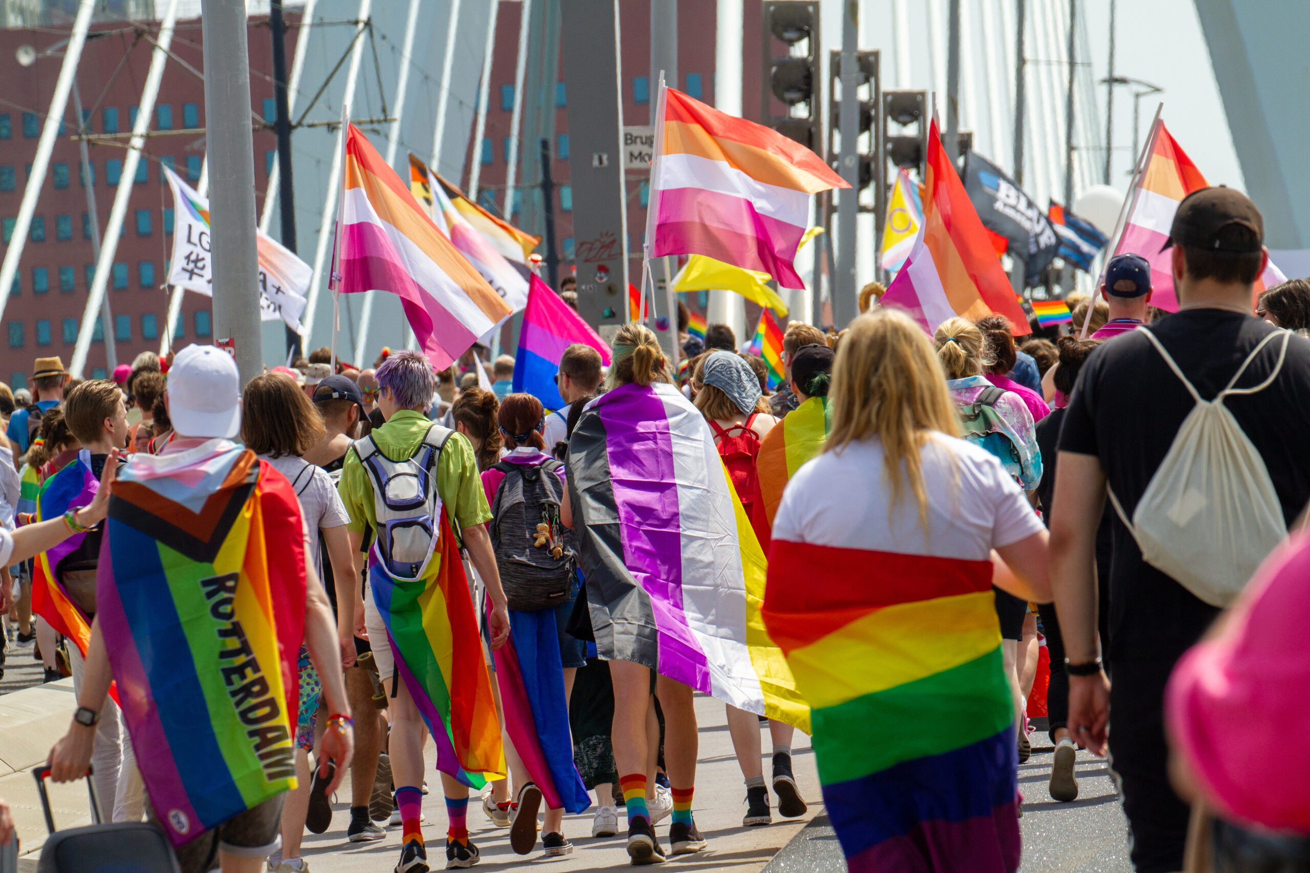 Pride Rotterdam optocht gezien vanaf de achterkant van een groep mensen gehuld in Pride-vlaggen. Ze lopen over de Erasmusbrug.